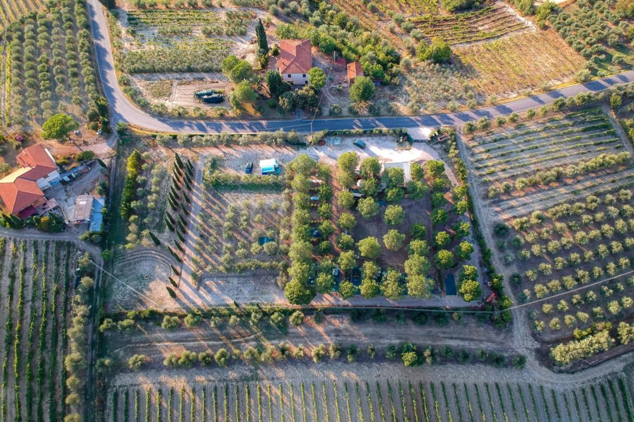 Agricamping Poggio Ai Pini Wine Camping Certaldo Exterior foto