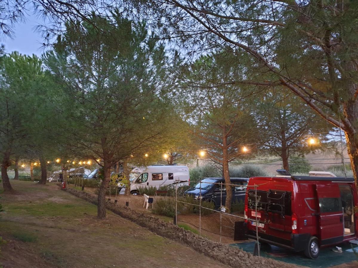 Agricamping Poggio Ai Pini Wine Camping Certaldo Exterior foto