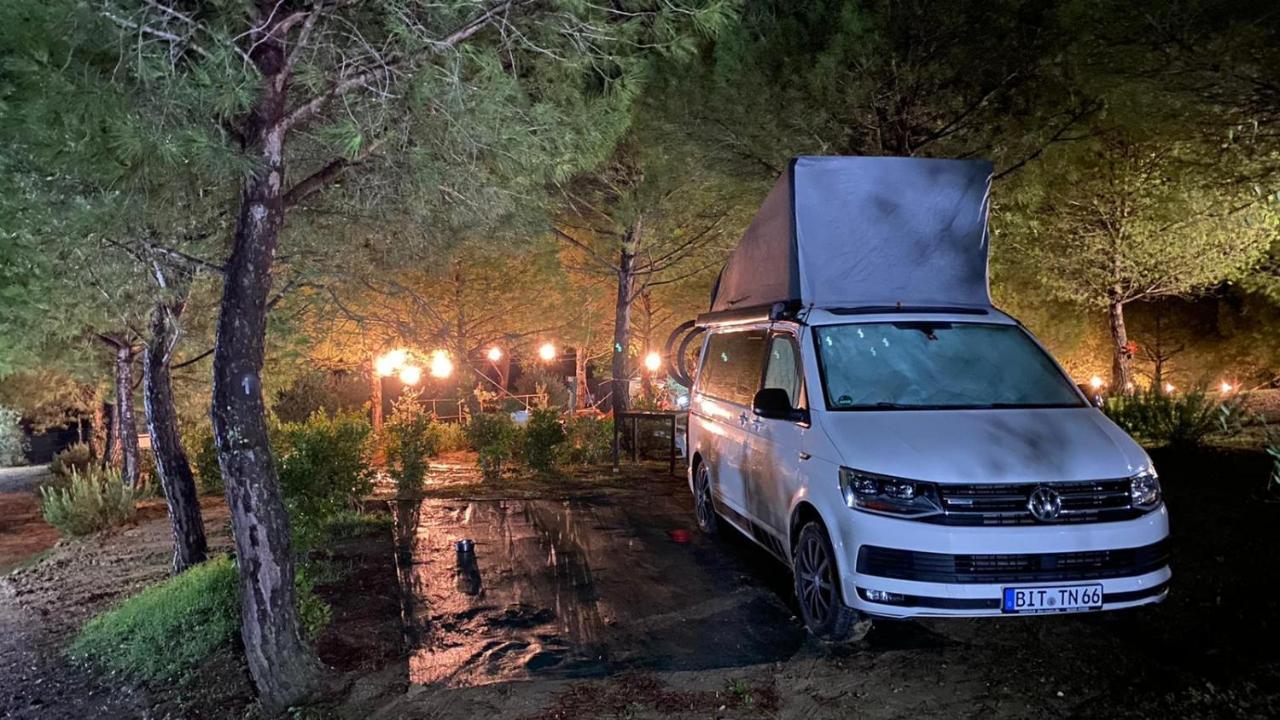 Agricamping Poggio Ai Pini Wine Camping Certaldo Exterior foto