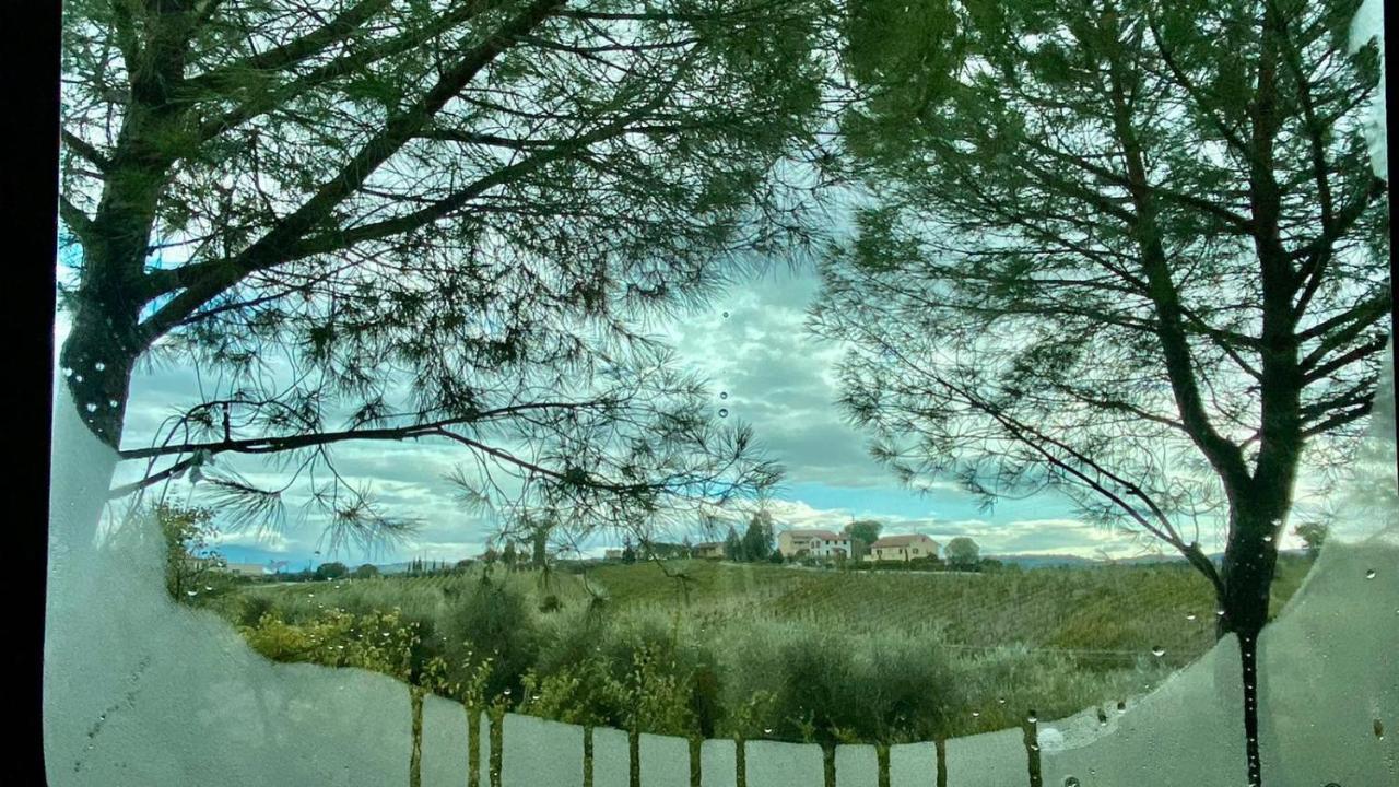 Agricamping Poggio Ai Pini Wine Camping Certaldo Exterior foto