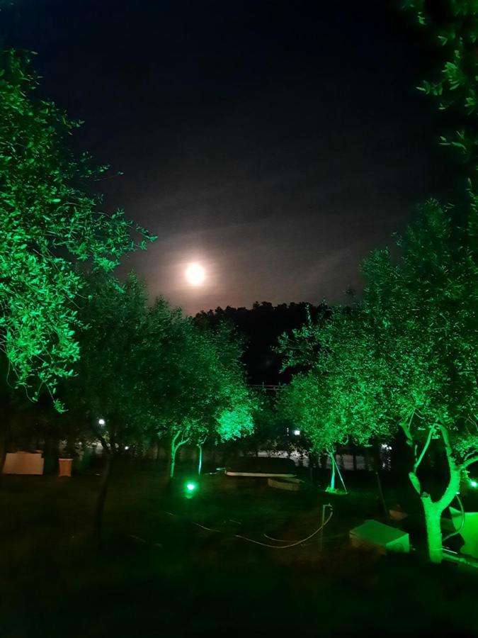 Agricamping Poggio Ai Pini Wine Camping Certaldo Exterior foto