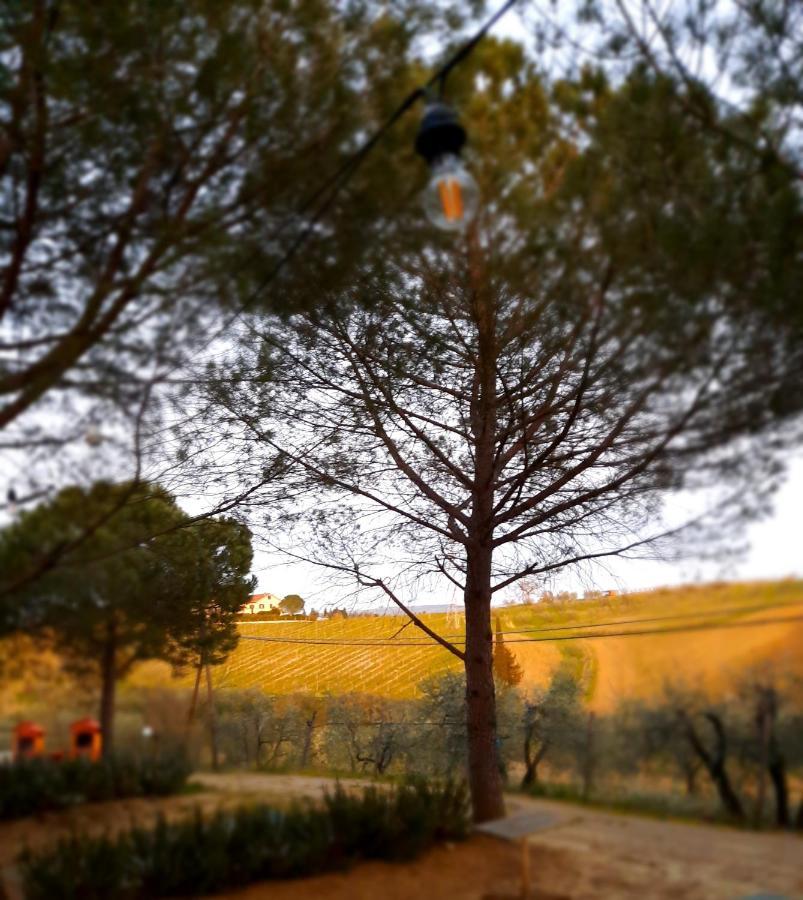 Agricamping Poggio Ai Pini Wine Camping Certaldo Exterior foto