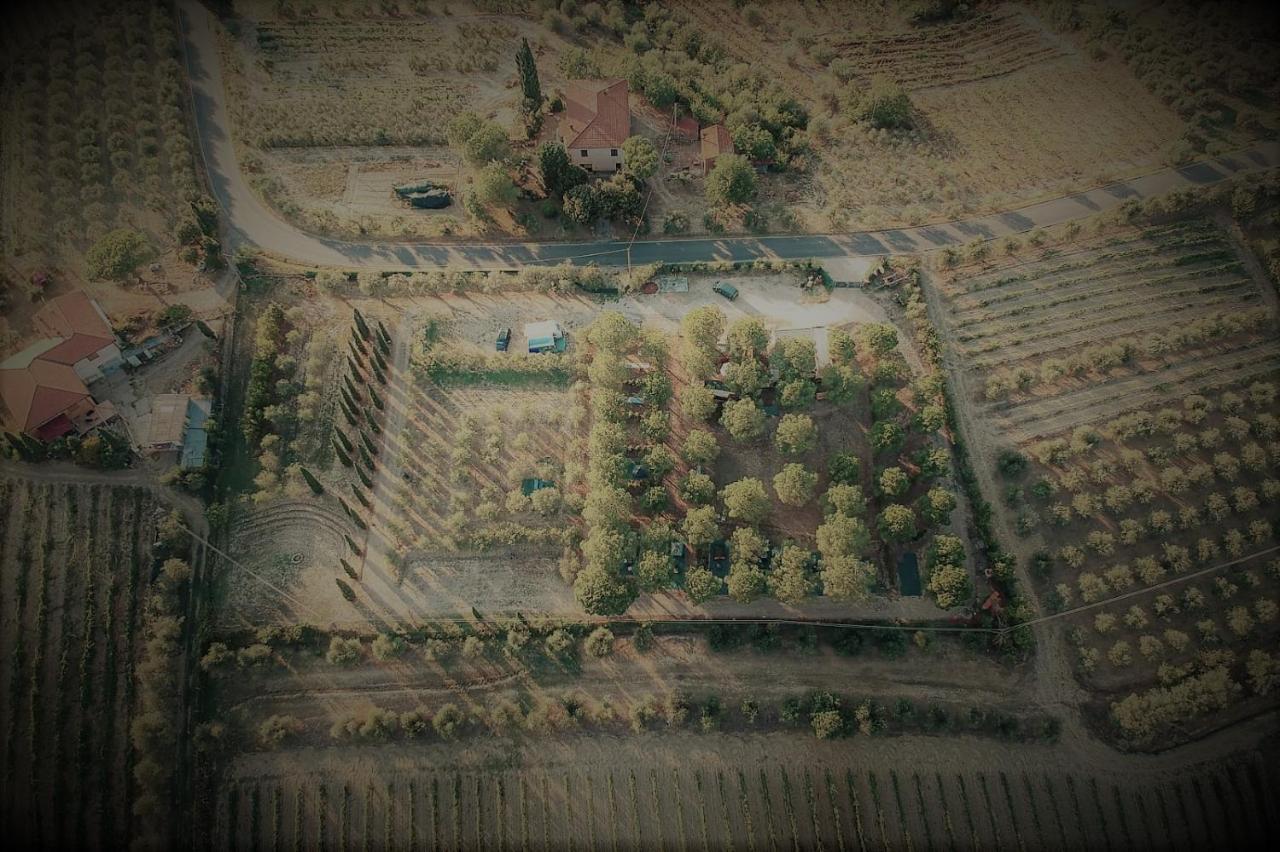 Agricamping Poggio Ai Pini Wine Camping Certaldo Exterior foto