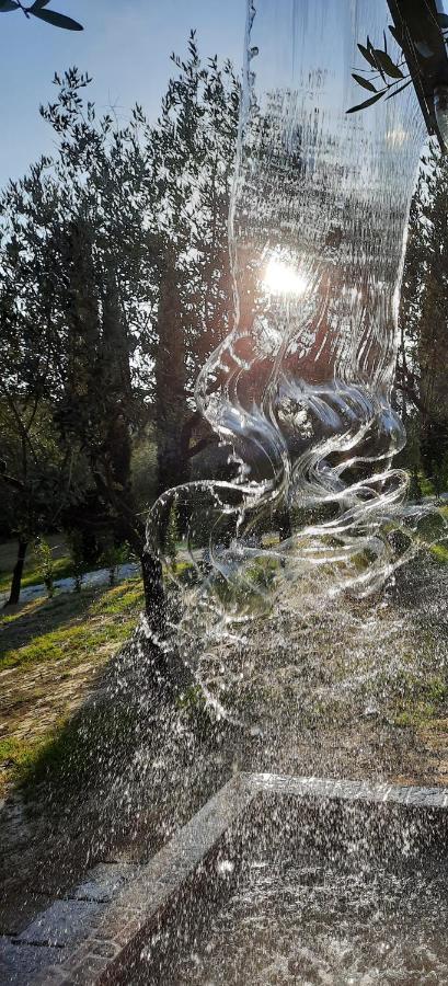 Agricamping Poggio Ai Pini Wine Camping Certaldo Exterior foto