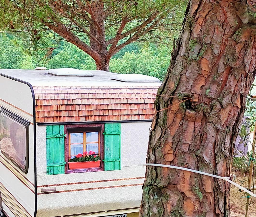 Agricamping Poggio Ai Pini Wine Camping Certaldo Exterior foto