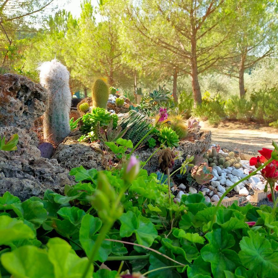 Agricamping Poggio Ai Pini Wine Camping Certaldo Exterior foto