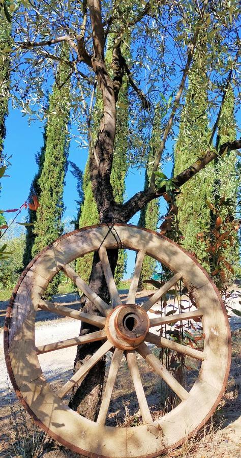 Agricamping Poggio Ai Pini Wine Camping Certaldo Exterior foto