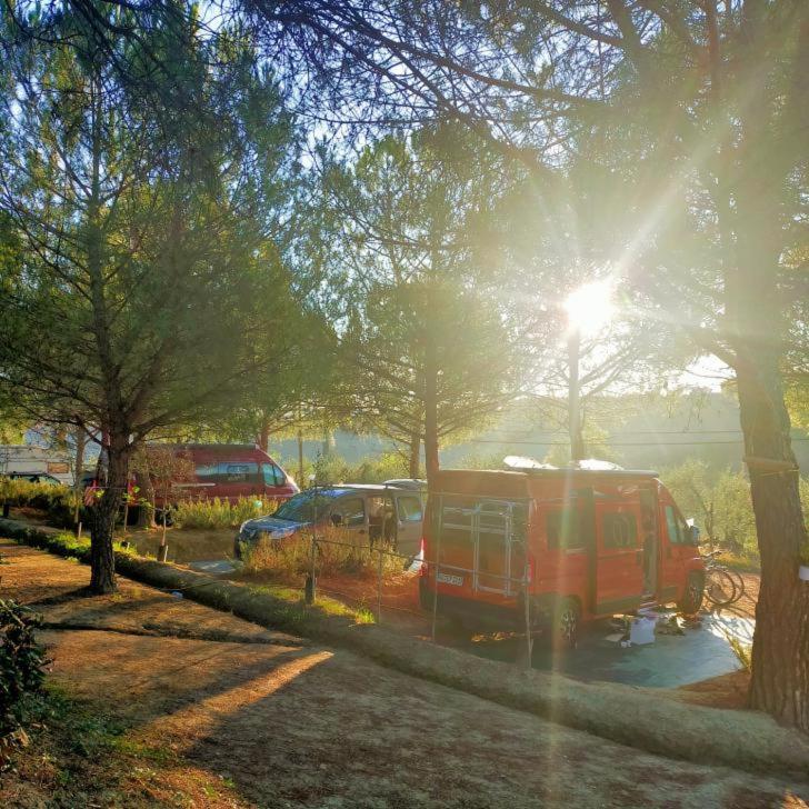 Agricamping Poggio Ai Pini Wine Camping Certaldo Exterior foto