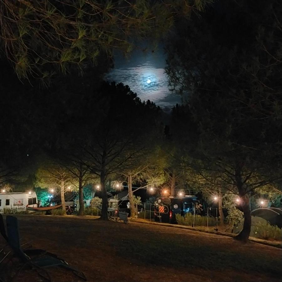 Agricamping Poggio Ai Pini Wine Camping Certaldo Exterior foto